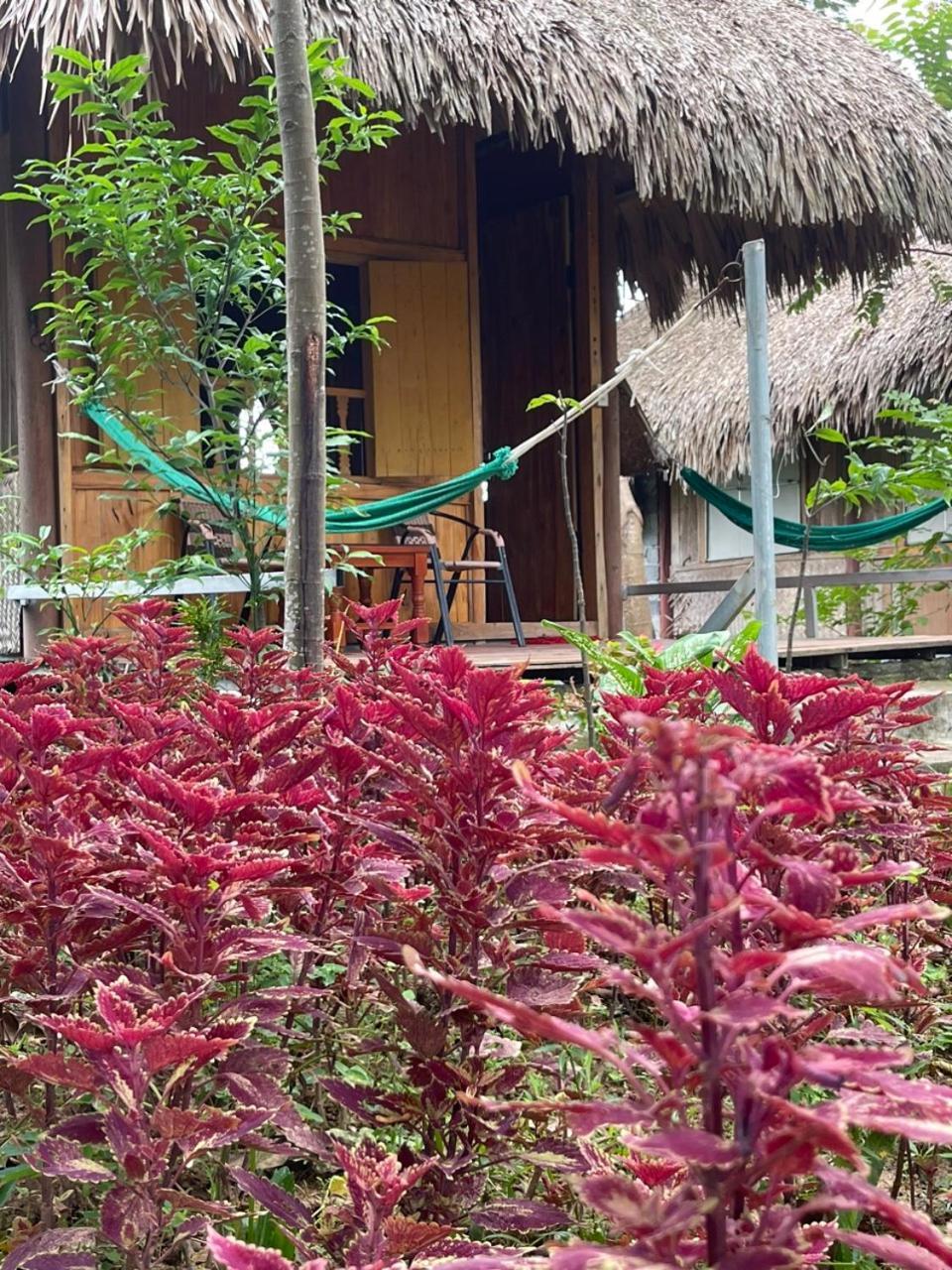 Cuc Phuong Bungalow Nho Quan Экстерьер фото
